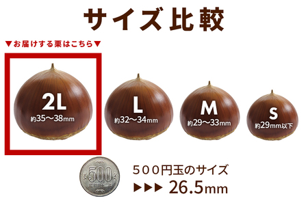 熟成生栗 2kg 2L 農産物直売所すわ 国産和栗 JV-004