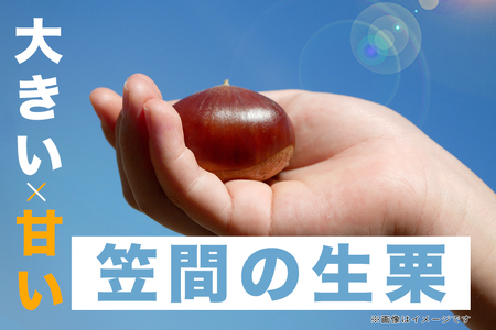 熟成生栗 2kg 3L 以上 農産物直売所すわ 国産和栗 JV-005