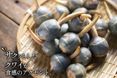 海老 カツレツ 5袋 計10個入 [斉吉商店 宮城県 気仙沼市 20565797]