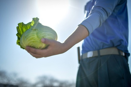 a10-1232　ジモベジ野菜セット