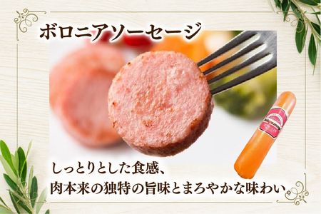 ソーセージ ボロニアソーセージ450g [吉田ハム工場 静岡県 吉田町 22424674] 