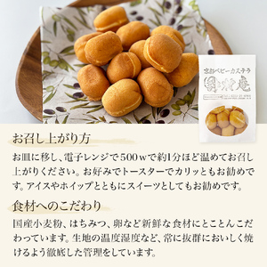 ベビーカステラ 50個 カステラ お菓子 スイーツ おやつ 焼菓子 和菓子 プレーン 冷凍 ふんわり 甘さ控えめ 小さい ミニサイズ