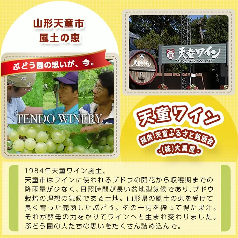天童ワイン ふるさと 応援 セット 山形 ワイン 赤 白 ロゼ
