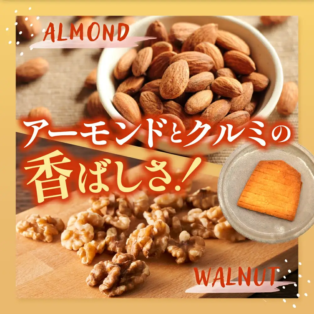 王将駒 サブレ お菓子 サブレ 山形 天童