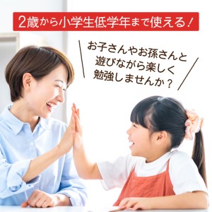 積木遊びで数字が好きになる「数字つみき」 [h007]