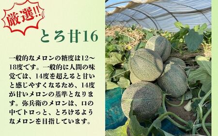 アムスメロン 2玉 メロン