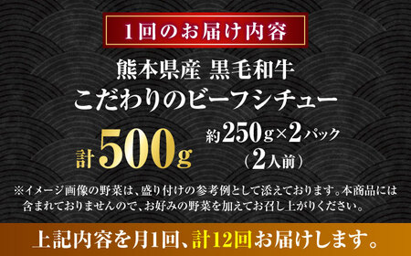 【全12回定期便】 熊本県産 黒毛和牛 こだわりのビーフシチュー 計2パック （約250g×2パック） ビーフシチュー ビーフ シチュー 牛肉 肉 　【有限会社スイートサプライなかぞの】[ZBV110]