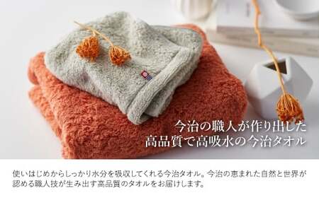 今治ふんわり雲羽タオル フェイスタオルセット(テラコッタ&ピスタチオグレー・各1枚) 今治タオル 今治ブランド 無撚糸 吸水性 肌触り やわらかタオル 高品質タオル 綿100％ 新生活 吸水タオル 敏感肌 ふわふわタオル 【m100-14-C】【トクダ】