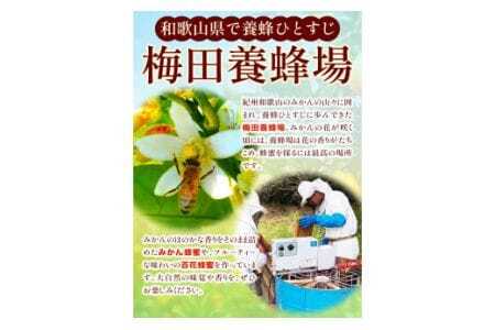 純粋はちみつ(みかん蜂蜜)ギフトセット ２本セット 1200g×1本＋450g×1本 