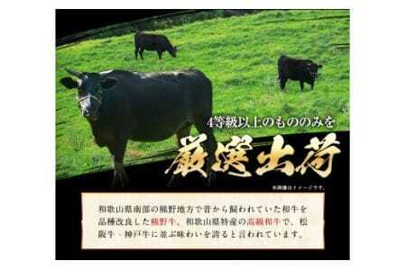 「熊野牛」特選モモステーキ300g 4等級以上 