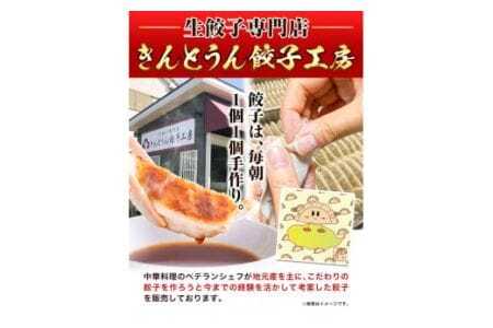 紀州きんとうん餃子 生姜餃子 2種 セット 計120個 ( 30個 入り × 4パック )