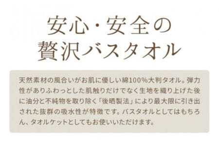 大判バスタオル 2枚 (ブラウン/ベージュ) 