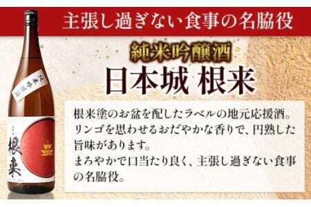 日本酒 根来純米吟醸と熟成山廃仕込根来桜 720ml 2本セット