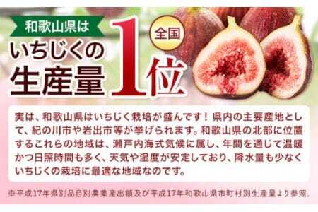 完熟いちじく 約600g (300g×2パック)
