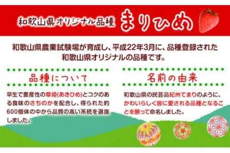 【先行予約】いちご まりひめ 約500g (250g×2パック) 