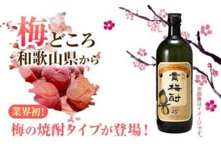 紀州の地酒 貴梅酎 きばいちゅう 25度 720ml×2本 