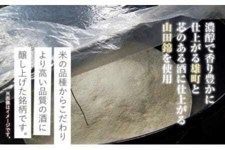 紀州の地酒 純米吟醸｢紀伊国屋文左衛門｣ 16度 720ml×2本 