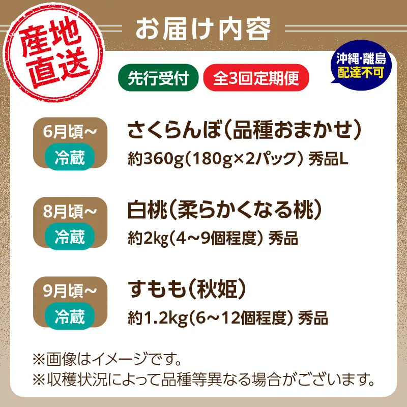 《先行受付》【発送月固定】山形旬彩！こだわりフルーツ定期便全３回Ａ 063-T01
