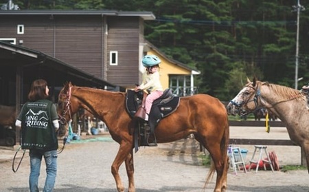 【平日限定】乗馬施設 貸切チケット 乗馬 貸切 チケット 貸切チケット 乗馬体験 平日限定 最大25名様 グループ ファミリー 家族 馬20頭以上 体験 [h034]