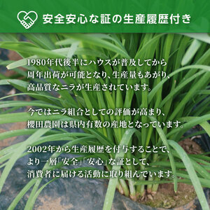 【先行予約】【12月から発送】肉厚・シャキシャキ! 朝採れ鮮度抜群! 櫻田さん家のニラ 1kg(100g×10束)  SMCS001