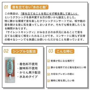 サイレントキャンディ 6本セット / 原田商店 かりん カリン あめ アメ 飴 信州 長野県 諏訪市 諏訪 [27-04]