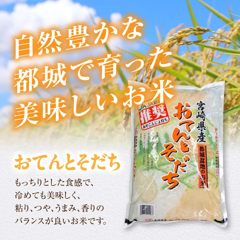 都城産のお米「おてんとそだち」&「ひのひかり」各3kg〔16-N5-003-6kg〕_(都城市) 宮崎県 都城産 お米 3㎏×2袋 食べ比べ  弁当 おにぎり