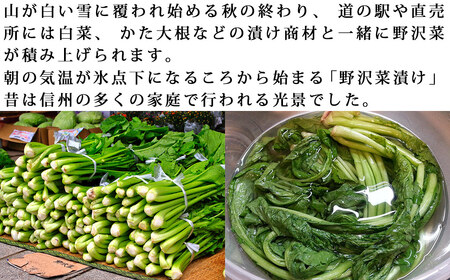 【先行受付】信州松本市産 漬物用「生の野沢菜」3kg