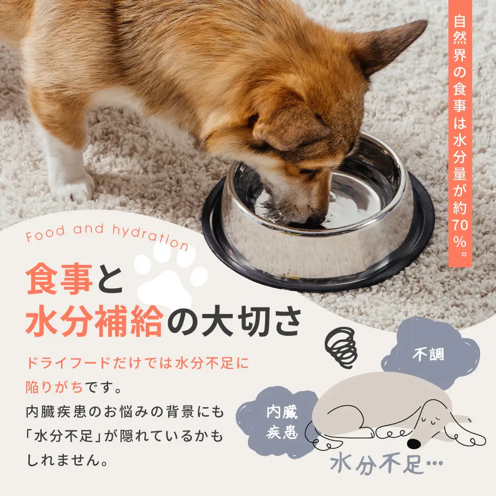 【MANMA BUONO】犬の手作りごはん お試しAセット3種｜京都 ペットフード ブランド 有名 人気ペットフード