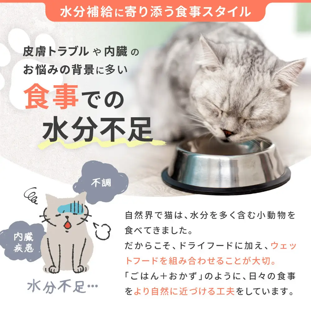 【MANMA BUONO】猫の手作りごはん お試しBセット4種｜京都 ペットフード ブランド 有名 人気ペットフード