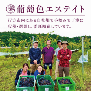 スパークリングワイン「泡3種セット」｜ワイン スパークリングワイン ボトルワイン 酒 お酒 酒類 ボトル ぶどう ブルーベリー ロゼ セット ワインセット 茨城県 行方市(GQ-6)