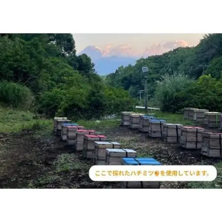 伊豆産レモンのドライフルーツと胡桃のハチミツ漬け【1678162】