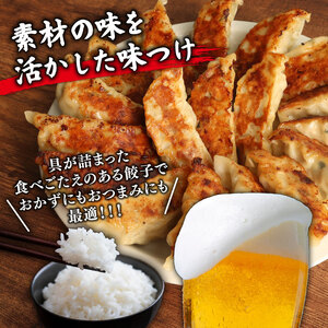 肉餃子 手包み ジャンボ 餃子 45個 冷凍 15個 × 3パック 【 餃子 】