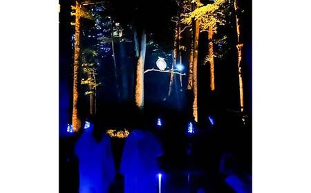 阿寒湖の森ナイトウォーク「KAMUY LUMINA (カムイルミナ)」入場券 大人1枚 小人1枚 体験 アクティビティ プロジェクションマッピング デジタル体験 アイヌ 文化 自然 森林浴 美容 アウトドア 自然 エンタメ 旅行 トラベル チケット アート 芸術 異世界北海道 釧路市 F4F-8585