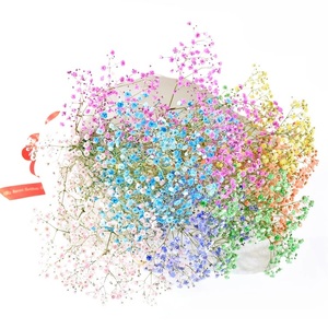 ふわふわブーケ ｜ 生花 花 ギフト ロマンチックかすみ草 七色 輝く カスミソウ カスミ草 かすみそう お祝い プレゼント カラフル 花束 おしゃれ