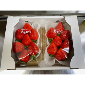 【2027年1月発送】 苺 あまおう 540g (270g×2P) いちご | あまおう OKI