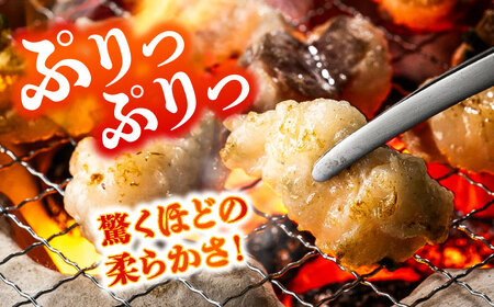 全12回定期便 あか牛 白 ホルモン 約500g ホルモン BHCY012