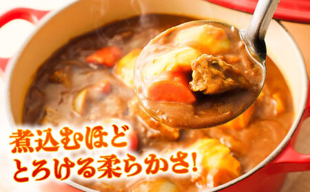 【全6回定期便】馬スジ 約1kg 馬肉 馬肉 BHCY043