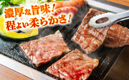 全3回定期便 熊本あか牛 焼肉 用カット(バラ ロース) 約500g 焼肉 BHCY046