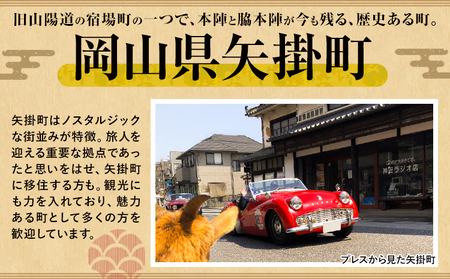 【2026年発送】シャインマスカット ぶどう 岡山県産 シャインマスカットと旬のぶどうセット 約1kg 2房 Grapes garden goat《2026年8月中旬～10月上旬頃に出荷予定(土日祝除く)》岡山県矢掛町 葡萄 果物 優品 スイーツ フルーツ デザート