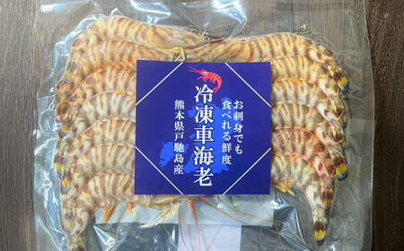 特殊冷凍 車海老 約250g（9～11尾）1パック エビ 海老 えび クルマエビ 車エビ 養殖 瞬間冷凍