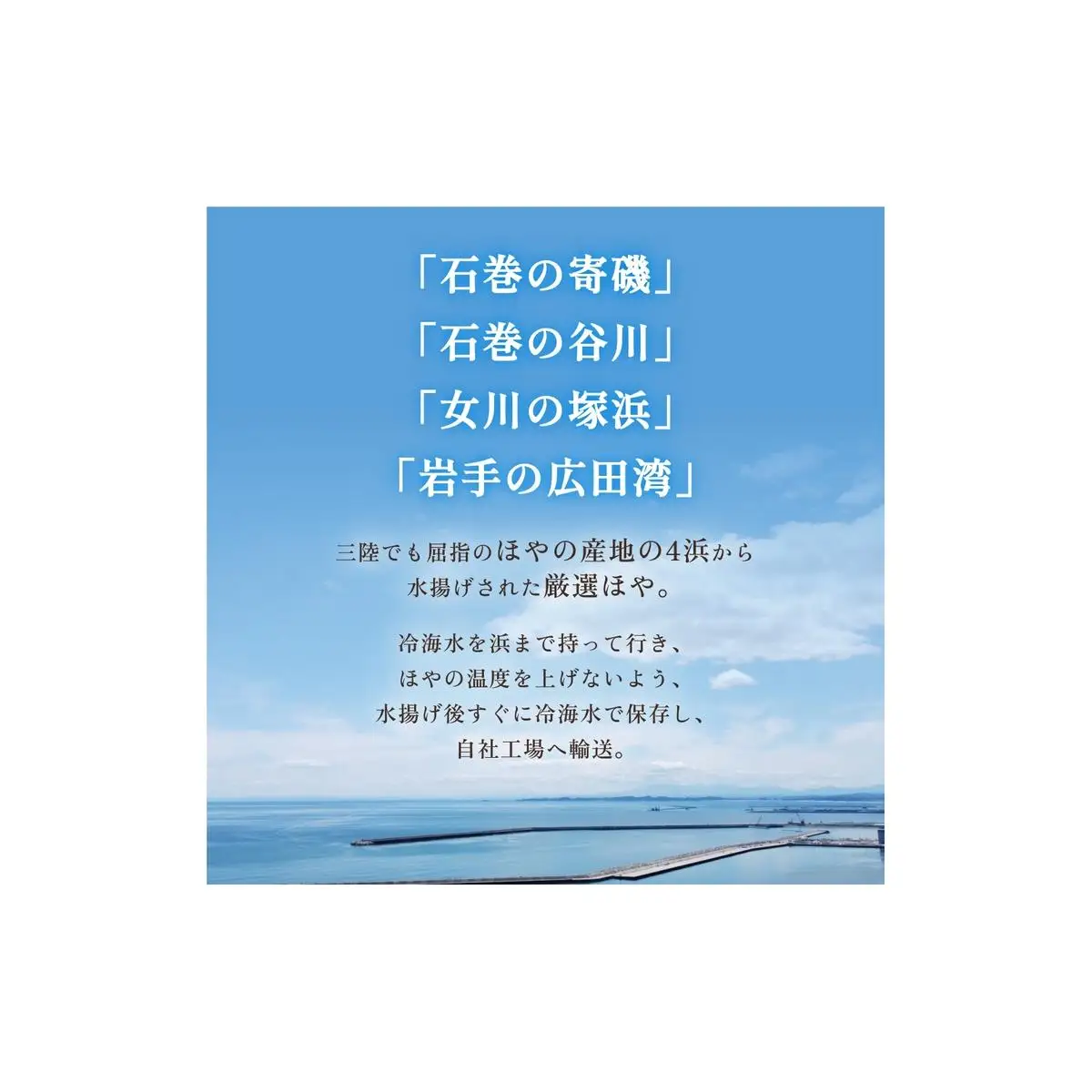 お刺身ほや 10個 セット ほや ホヤ お刺身 刺身 肉厚 珍味 おつまみ おかず 晩酌 海鮮 魚介 海産物 新鮮 冷凍 宮城県産 宮城県 石巻市