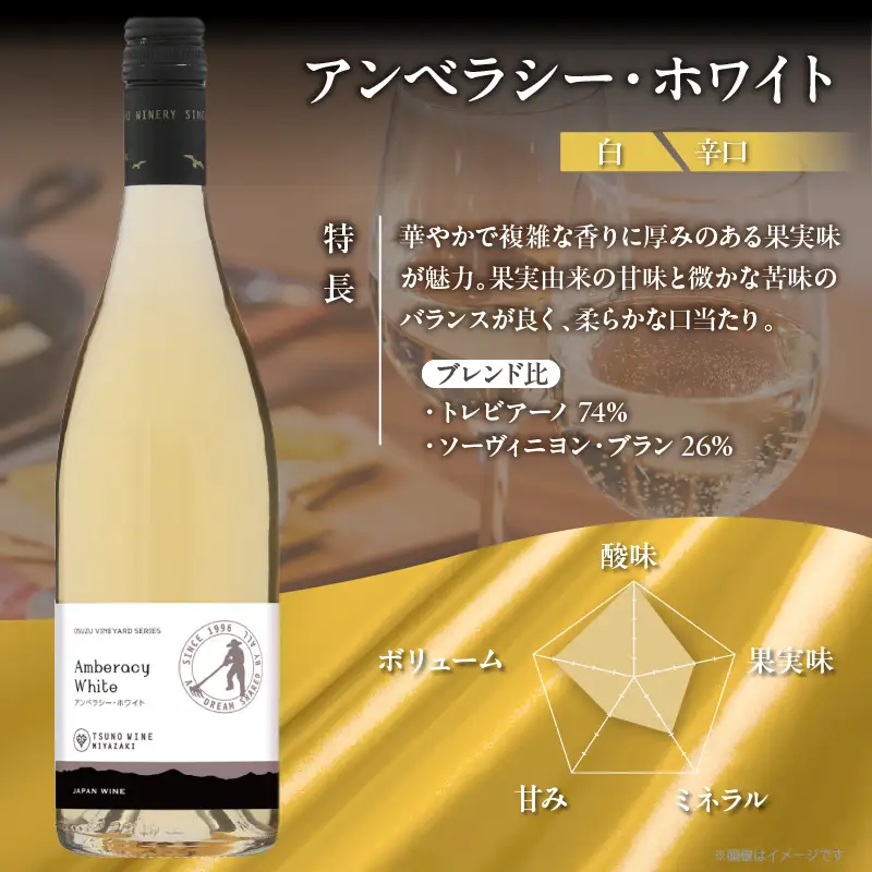 【数量限定】アンベラシー ホワイト(計1本) ワイン 酒 アルコール 国産_T014-0485