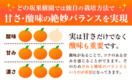 早生 みかん 2S～Lサイズ 約 10kg みかん 柑橘