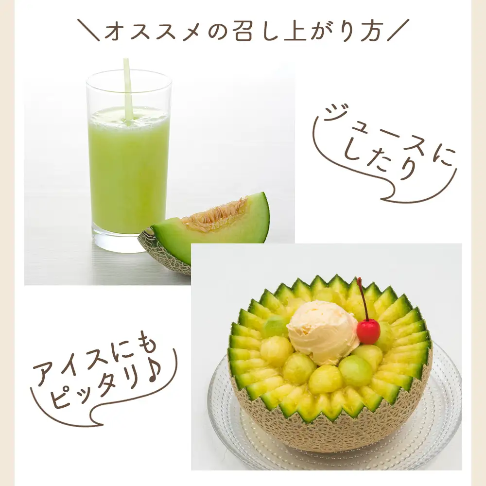 《先行予約》マスクメロン 1玉 家庭用 メロン yr-0088