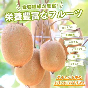 先行予約 キウイフルーツ 香緑 約1.2kg キウイ