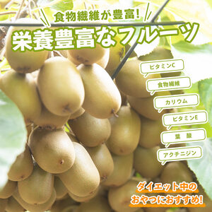 先行予約 キウイフルーツ キウイっこ 約1.2kg キウイ