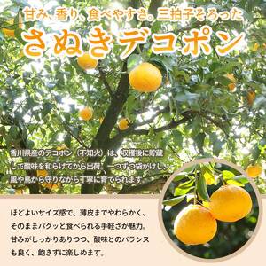 先行予約 デコポン 約1.5kg 柑橘デコポン