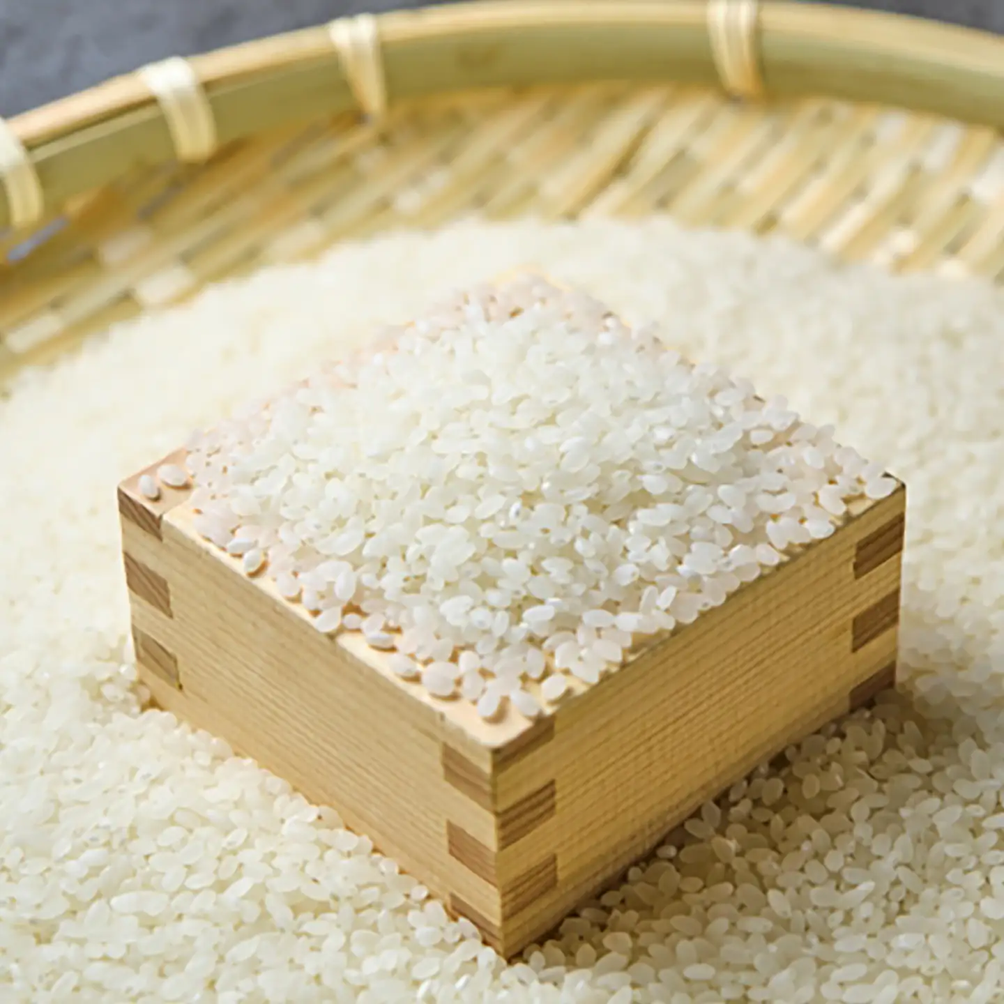 令和7年産 夢しずく5kg 白米 / 白米 / 白川製茶園 [41AIAB016]