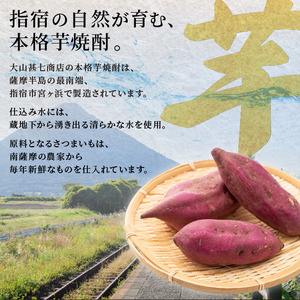 本格焼酎25度 MIYAGAHAMA Aroma 720ml (大山甚七商店/IB120-007)  玉茜 たまあかね アロマ 宮ヶ浜 25度 オレンジ芋 紅茶 アールグレー トロピカル 芋焼酎 指宿 鹿児島 酒 アルコール 焼酎 芋 お酒 晩酌 家飲み
