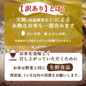 定期便 6ヶ月 訳あり 米 鳥栖市ふるさと納税限定 プレミアムブレンド 【無洗米】 3kg 五つ星お米マイスター厳選 (お徳用ブレンド米) 家庭用 生活応援 ※配送不可：離島